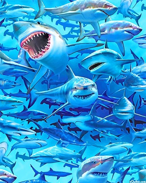 White Sharks Frenzy Paint By Numbers