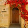 Brown Door With red Flowers