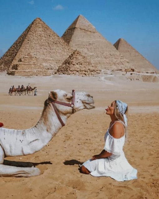 Girl And Camel In Egypt The Great Pyramid Of Giza Egypt paint by numbers