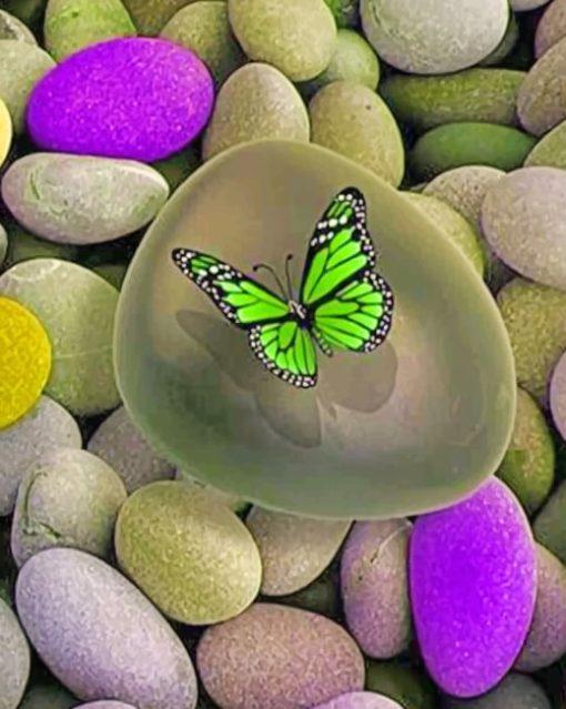 Green Butterfly paint by numbers