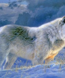 Winter Wolf paint by numbers