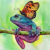 Butterfly On Frog Paint by numbers