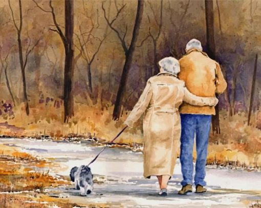 Old Couple Walking paint by numbers