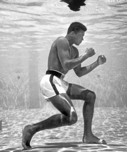 muhammad-ali-underwater-poster-paint-by-number