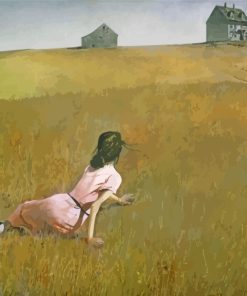 andrew-wyeth-girl-in-field-paint-by-numbers