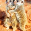 baby-meerkats-paint-by-numbers-510x639-1