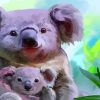 Cute Koala With Baby