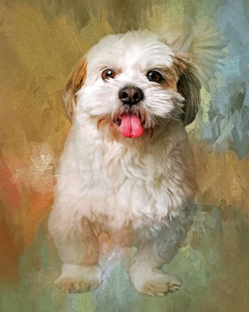 fluffy-shih-tzu-paint-by-numbers