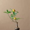 ikebana-paint-by-numbers