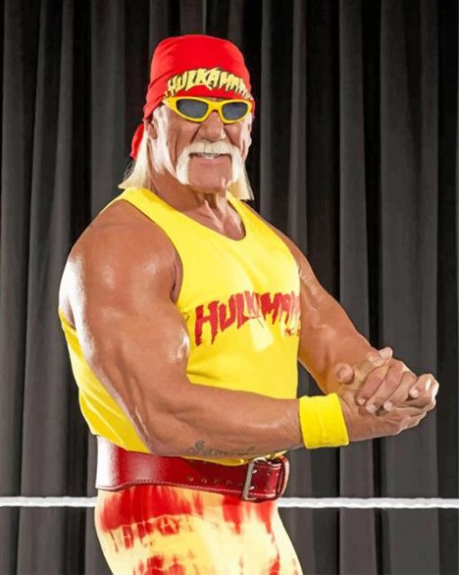 wrestler-hulk-hogan-paint-by-numbers