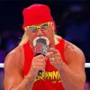 wwe-hulk-hogan-paint-by-number