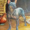 Mexico Xolo Dog Paint By Number