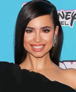 Actress Sofia Carson Paint By Number