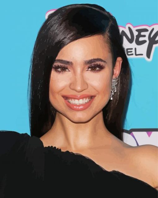 Actress Sofia Carson Paint By Number