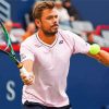 Aesthetic Stan Wawrinka Paint By Number