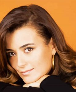 American Actress Cote De Pablo Paint By Number