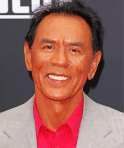 American Wes Studi Paint By Number