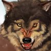 Angry Wolf Paint By Number