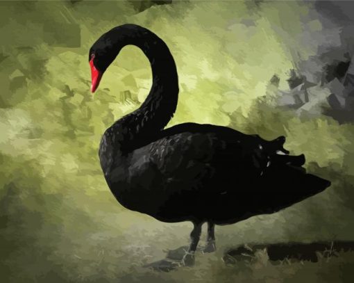 Black Swan Bird Paint By Number