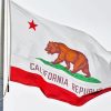 California Flag Paint By Number