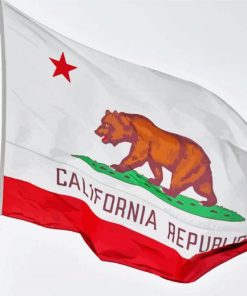 California Flag Paint By Number