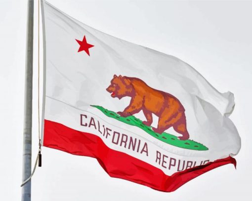 California Flag Paint By Number