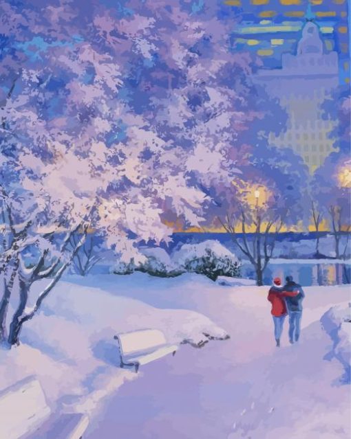 Central Park New York In Winter Paint By Number