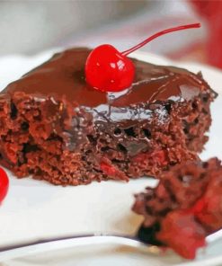 Tasty Cherry Chocolate Cake Paint By Number