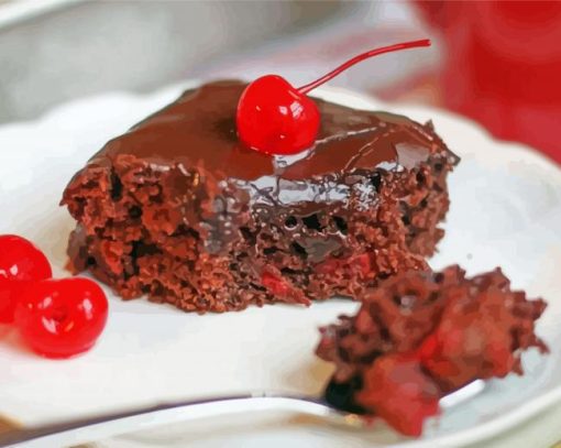 Tasty Cherry Chocolate Cake Paint By Number