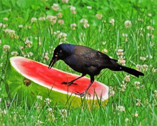 Crows With Watermelon Paint By Number