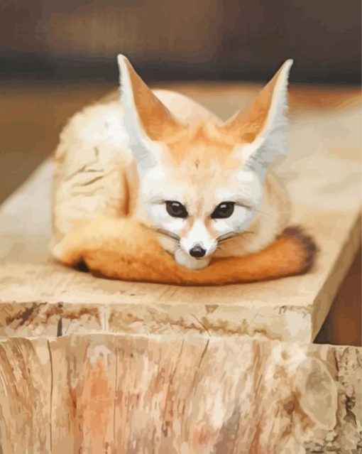 Cute Baby Fennec Fox Paint By Number