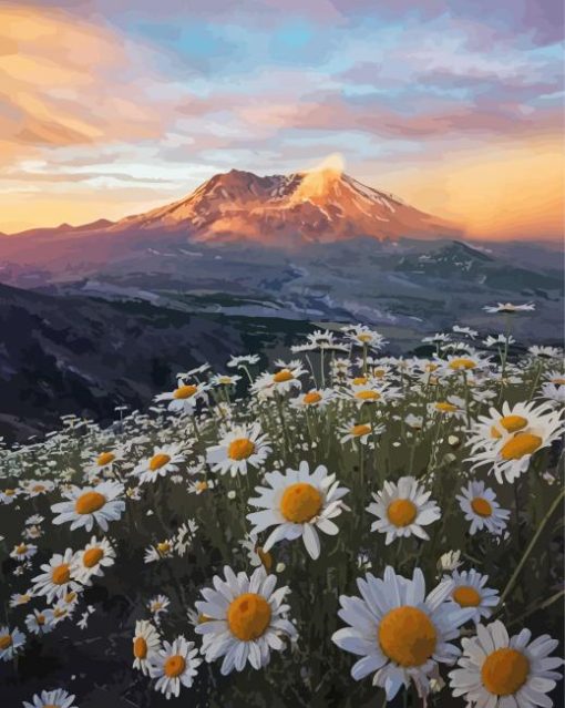 Daisies In Mount St Helens Paint By Number