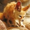 Fennec Fox Paint By Number