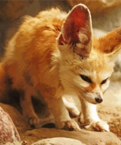 Fennec Fox Paint By Number