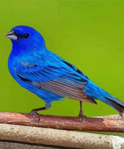 Indigo Bunting Bird On Tree Paint By Number