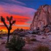 Joshua Tree National Forest Sunset Paint By Number