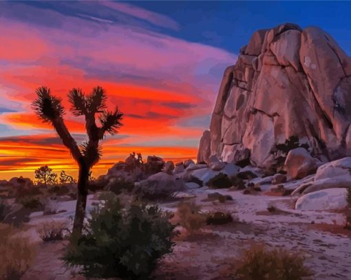 Joshua Tree National Forest Sunset Paint By Number