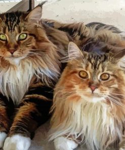 Large Fluffy Cats Paint By Number