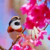 Long Tailed Tit On A Flower Tree Paint By Number