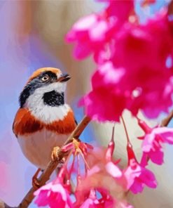 Long Tailed Tit On A Flower Tree Paint By Number