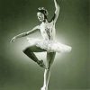 Margot Fonteyn Paint By Number