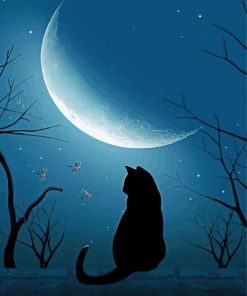 Moonlight Cat Silhouette Paint By Number