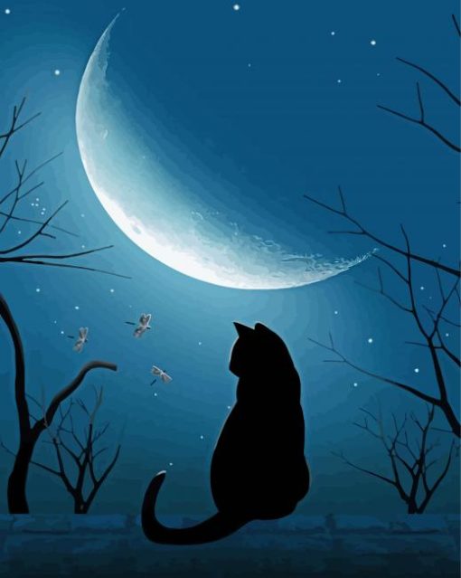 Moonlight Cat Silhouette Paint By Number