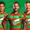 Nrl South Sydney Paint By Number