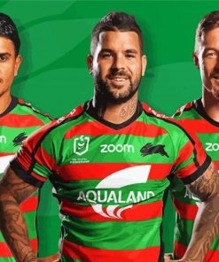 Nrl South Sydney Paint By Number