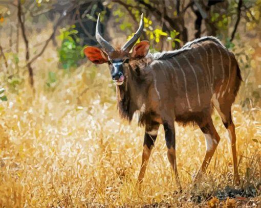 Nyala Paint By Number