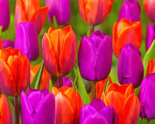 Orange Purple Tulips Paint By Number