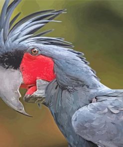 Palm Cockatoo Paint By Number