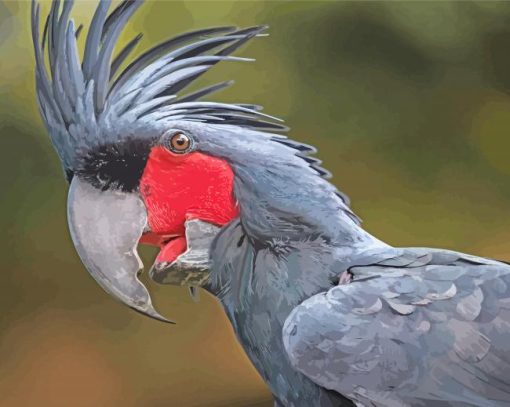 Palm Cockatoo Paint By Number