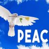 Peace Dove Paint By Number